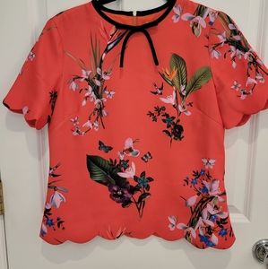 COPY - Ted Baker US 4 Top